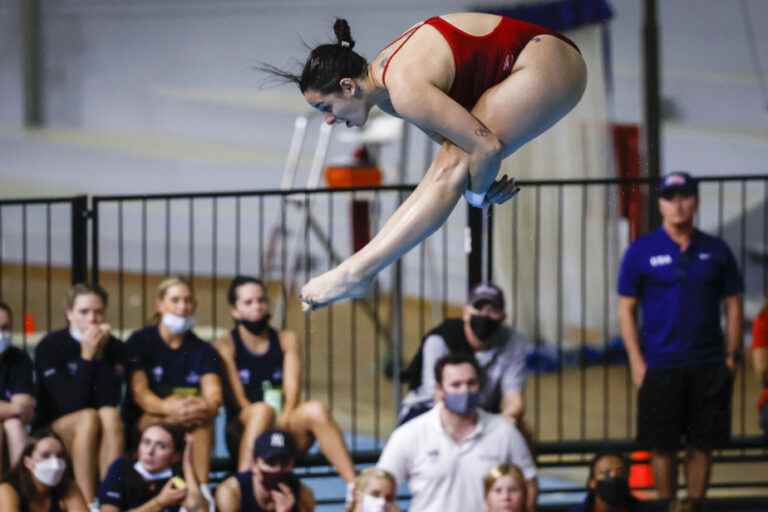 Diving |  Pamela Ware and Carson Paul cover themselves in bronze in Italy