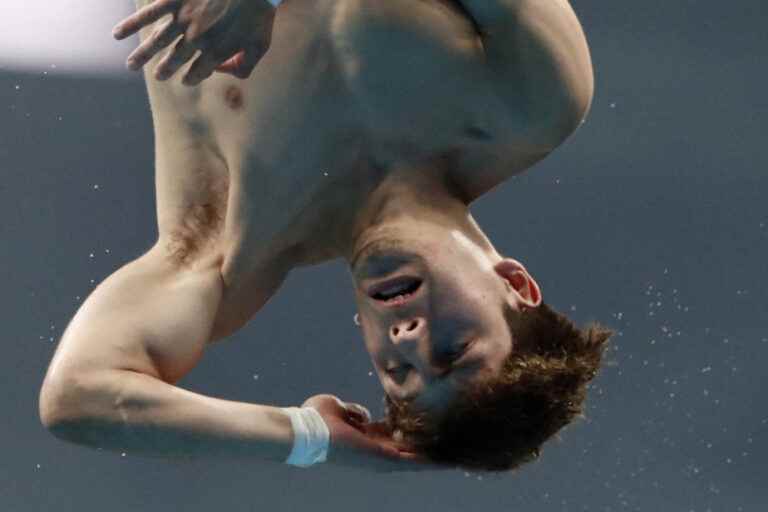 Diving World Championships |  Canadian divers satisfied with their performance