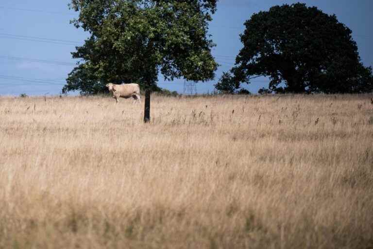 France towards its driest July since 1958