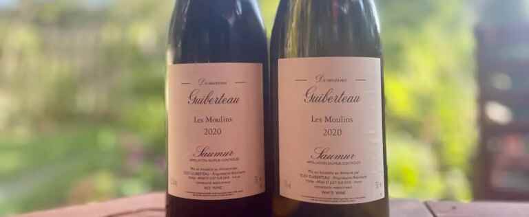 Duo from Saumur to the rescue of the heat wave