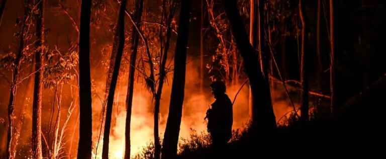 [EN IMAGES] Portugal plagued by heat wave and forest fires