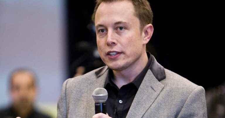 Elon Musk: Natasha Bassetta dumps him following revelations about his hidden twins