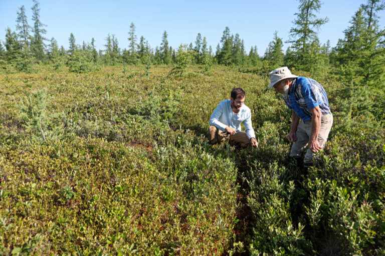 Environment |  Donate your land to better preserve it