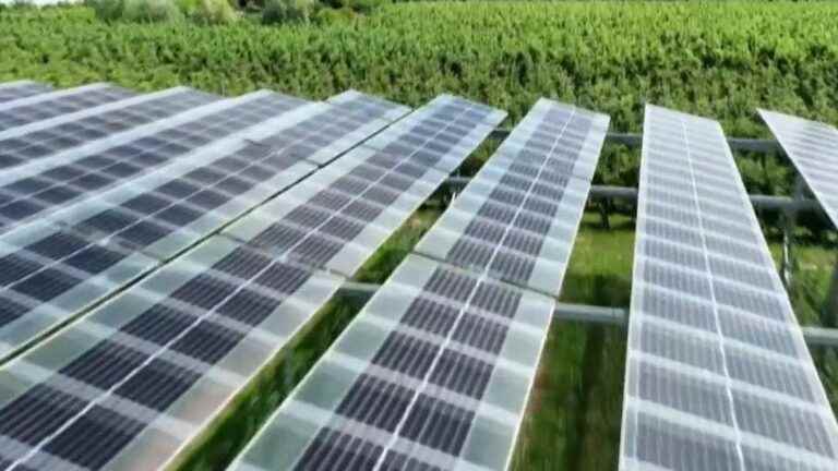 Environment: encouraging results from solar panels in German orchards