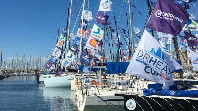 Find out which Mancho skippers to follow during the Drheam Cup