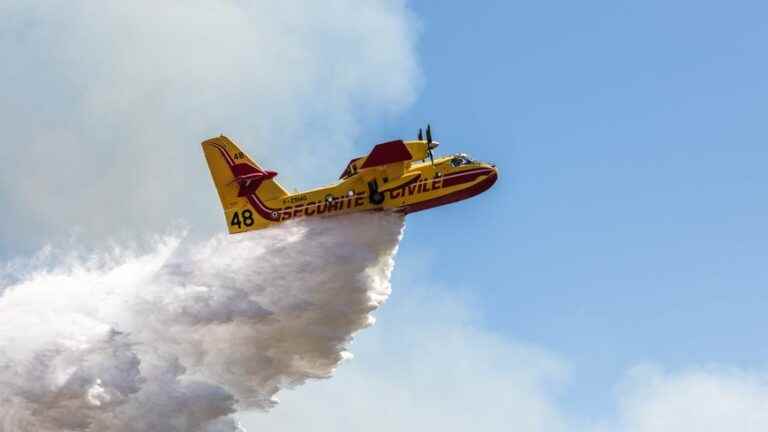 Fire in the Pyrénées-Orientales, the N116 cut, the canadairs back