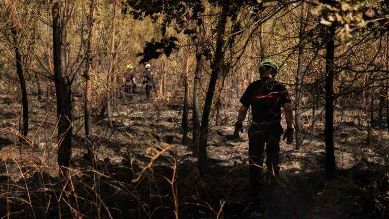 Fires in Gironde: the fire of La-Teste-de-Buch fixed, but not that of Landiras