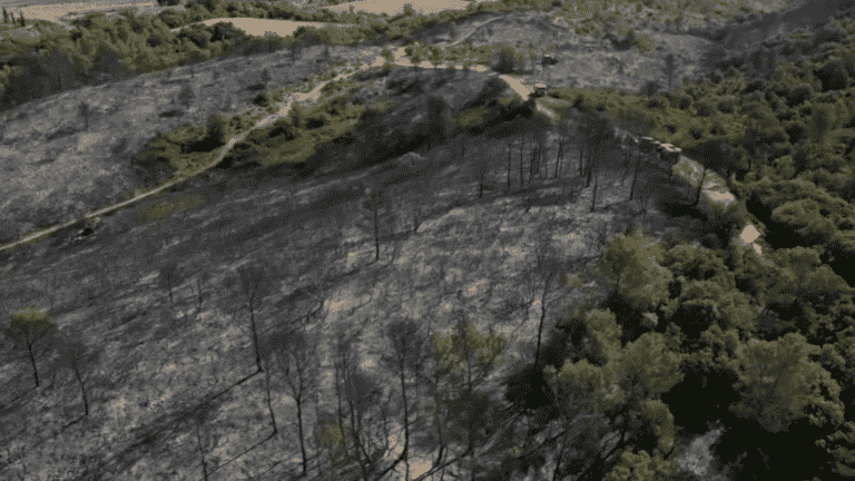 Fires in Hérault: the fire is fixed