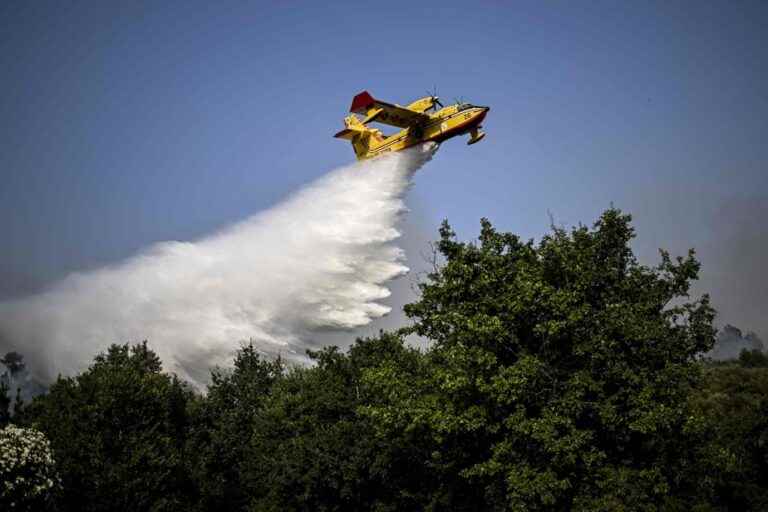 Fires in Portugal |  Pilot killed in water bomber plane crash