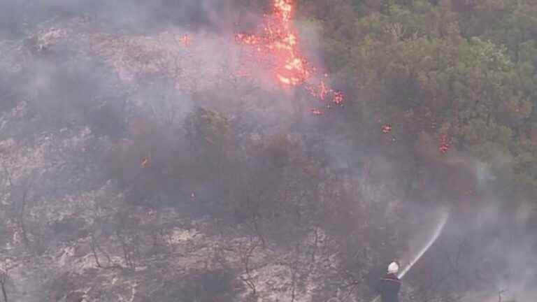 Fires: in the Pyrénées-Orientales, a now stabilized fire has destroyed 150 hectares