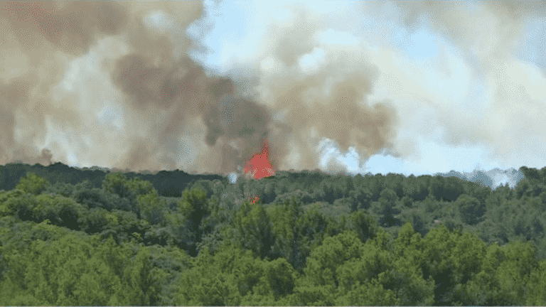 Fires: the growing concern of firefighters in the face of the advance of the fire in the Hérault