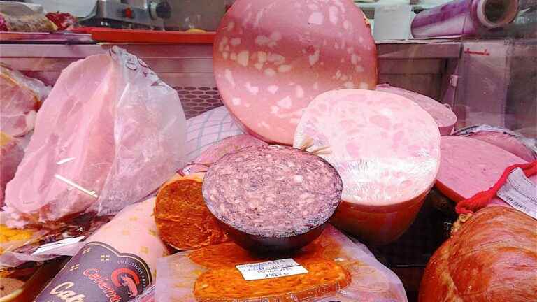 Five questions on the link between nitrates and nitrites in charcuterie and cancer risks