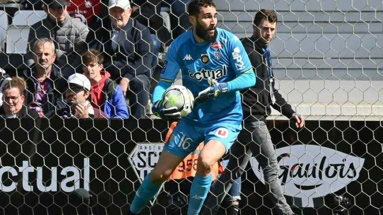 Five things to know about Anthony Mandréa, goalkeeper of SM Caen