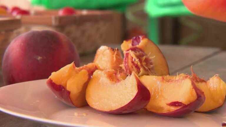 Food: peaches, apricots and nectarines are the stars of summer