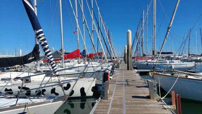 Foreign tourists already back at Chantereyne port in Cherbourg