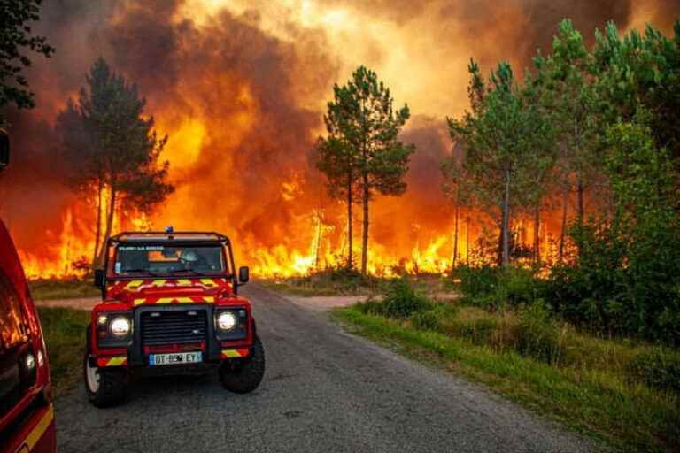 Forest fires and heat wave in Western Europe