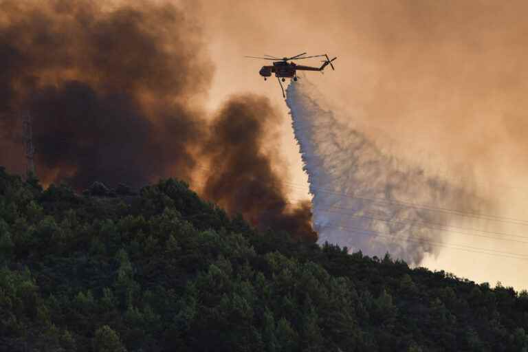 Forest fires in Greece |  “A difficult struggle” to save the ecosystem