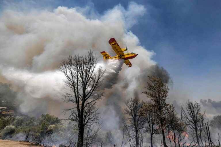 Forest fires in northern Morocco |  Nearly 500 families were evacuated