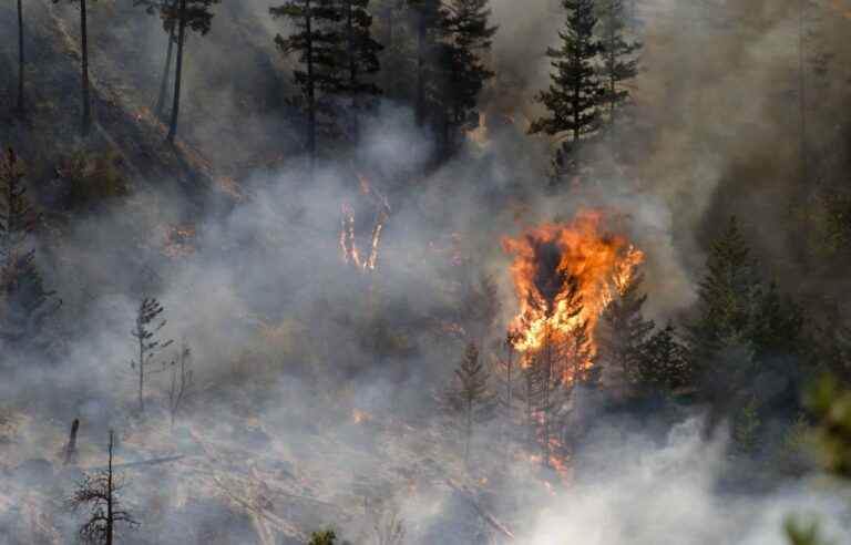 French forests near the Atlantic are burning, Europe is heating up