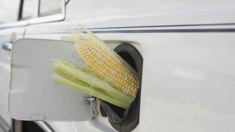 Fuel: switch to bioethanol