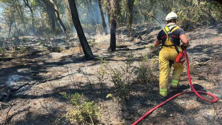 Générac fire: 235 hectares destroyed, firefighters remain on site