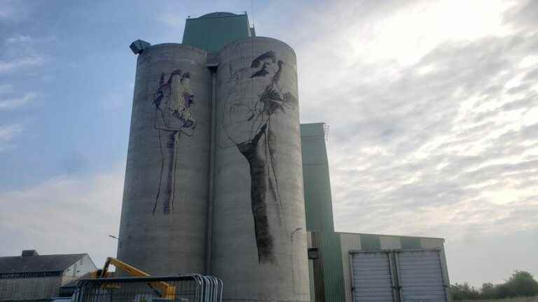 Giant giraffes painted on the grain silos of an agricultural cooperative in Laval