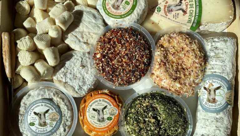 Goat Cheeses and Charcuterie