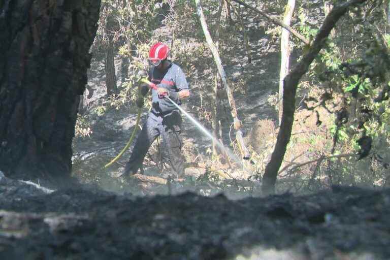 “Going into the forest remains dangerous” warn the authorities in Gironde