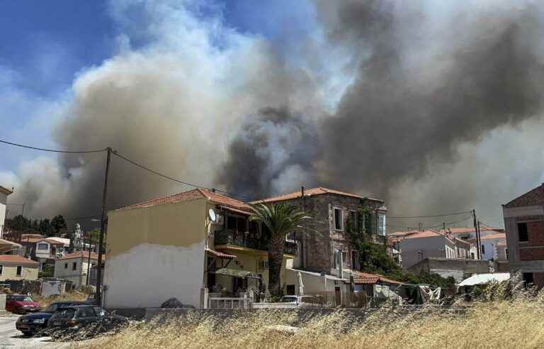 Greece, hit by a heat wave, fights forest fires