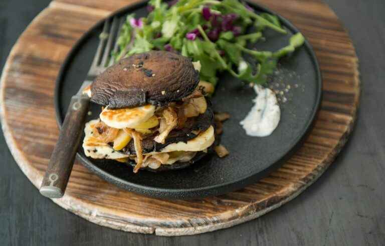 Grilling cheeses, such as halloumi, to be discovered in local cheese shops