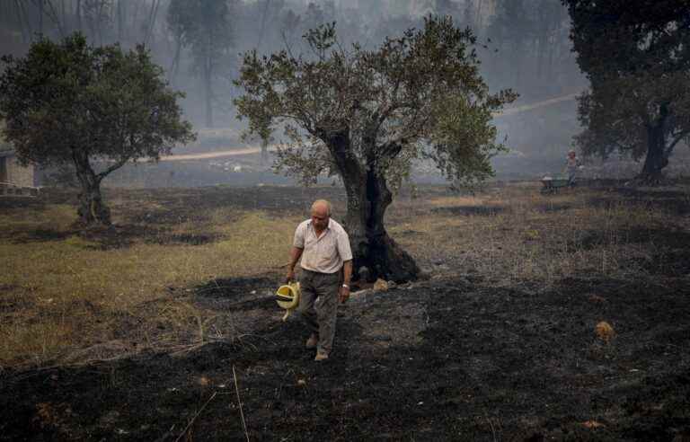 Half of EU territory ‘at risk’ of drought