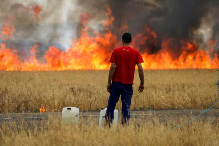 Heat wave in Europe |  Zamora region in Spain still victim of fires