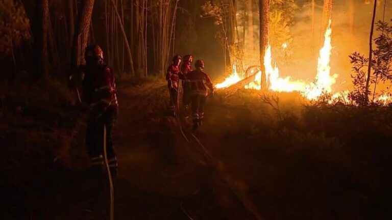 Heatwave: fires and high heat hit southern Europe