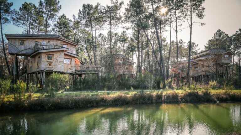 Holidays at Center Parcs Domaine du Bois aux Daims?  Be our guests!