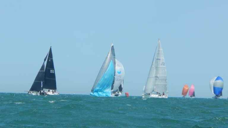 IN PICTURES – Relive the start of the Drheam Cup off Cherbourg-en-Cotentin