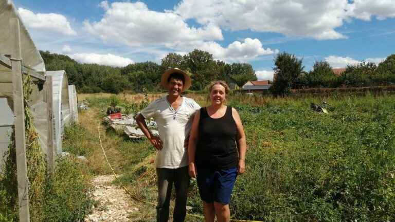 In a micro farm in the Oise: "we aim for happy sobriety"