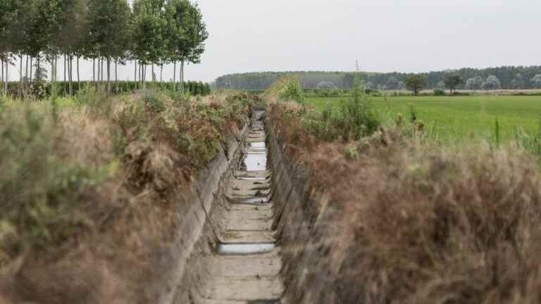 Italy declares state of emergency in five northern regions