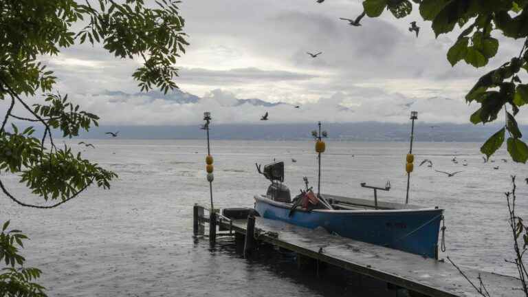 Lake Geneva is warming up in Switzerland, and the whitefish, star fish for anglers, is becoming scarce