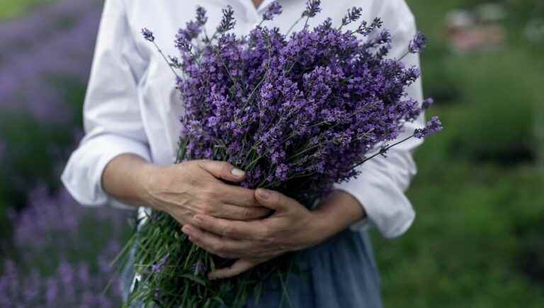 Lavender with Etienne Wirth