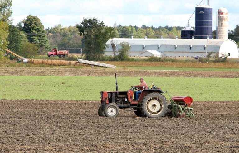 Many absent at a world congress on agroforestry, for lack of visa