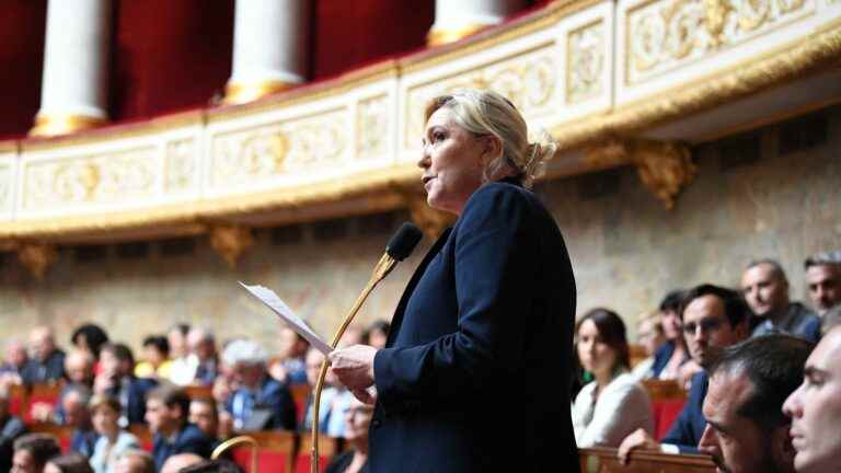 Marine Le Pen at the same time opponent and ally of Emmanuel Macron