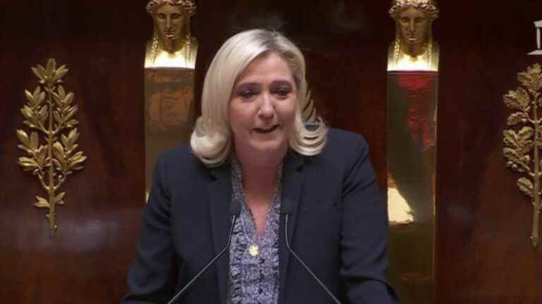 Marine Le Pen, the strategy of respectability