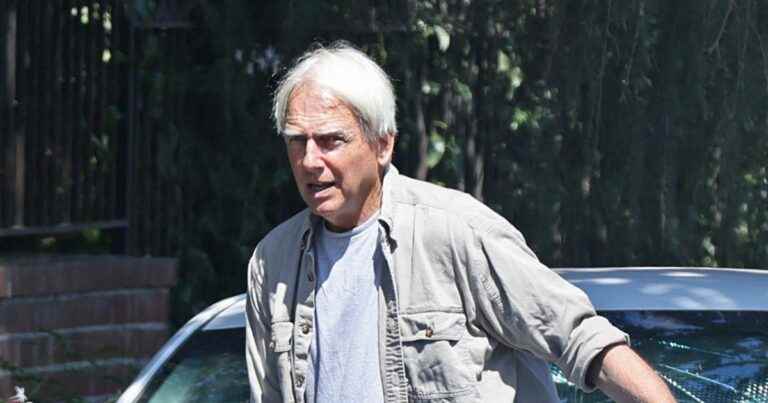 Mark Harmon: What has become of the millionaire actor since leaving NCIS?