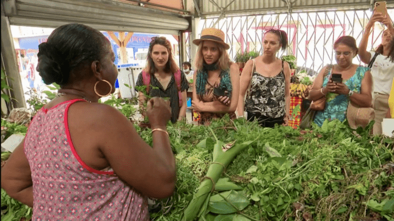 Martinique: discovering the flavors of the island