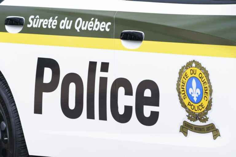 Mauricie |  67-year-old pedestrian dies after being hit by car