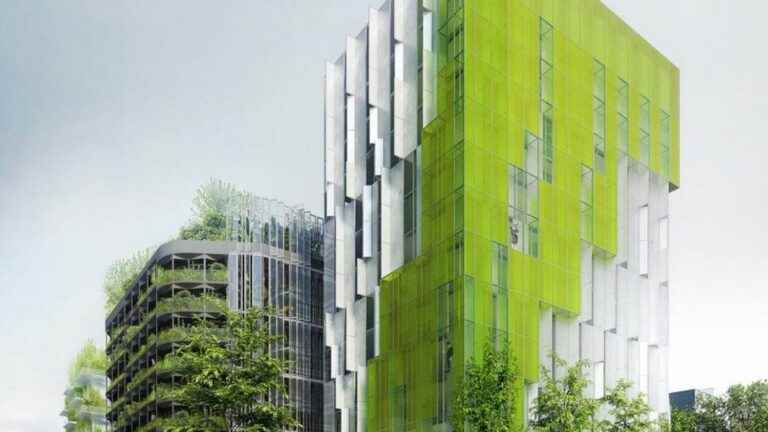 Microalgae integrated into building facades