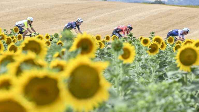 Mohoric, Simmons, Honoré and van der Hoorn at the front, the peloton one minute away… Follow the 19th stage