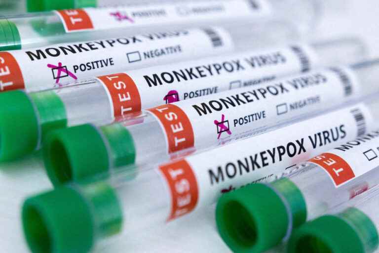 Monkey pox |  The WHO will indicate on Saturday if the highest level of alert is triggered