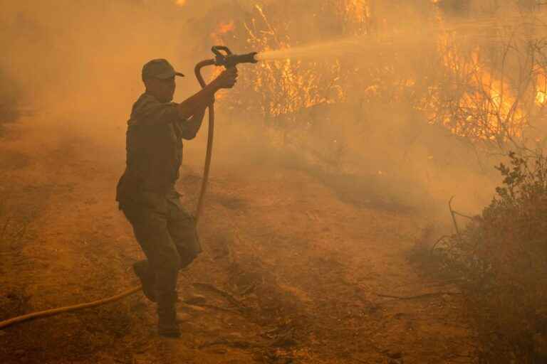 Morocco |  Fire and military reinforcements to control forest fires in the north