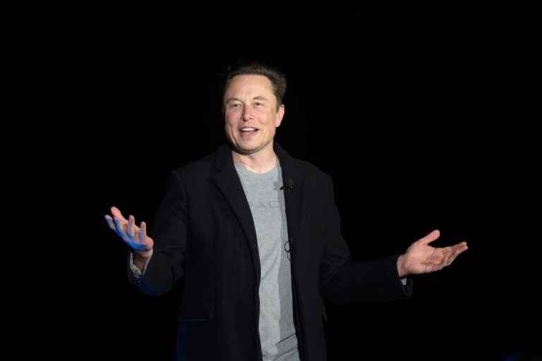 Musk withdraws from the purchase of Twitter |  Relief on the left, disappointed Trump supporters